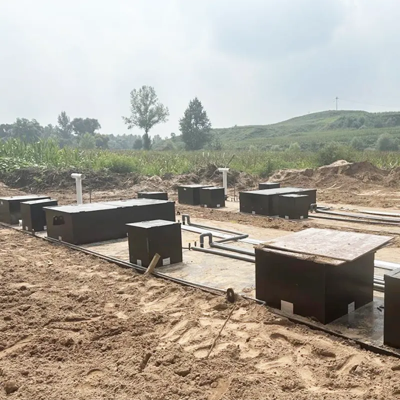 Ehortzitako Etxeko Araztegiak Eskala Handiko Araztegi Zentralizatua